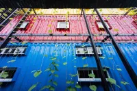 Ccasa Hostel Hotels in 