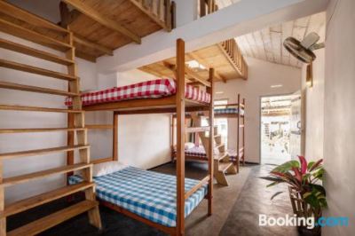 Bunk Bed in Mixed Dormitory Room