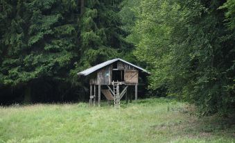 Jagdschloss Windenhutte