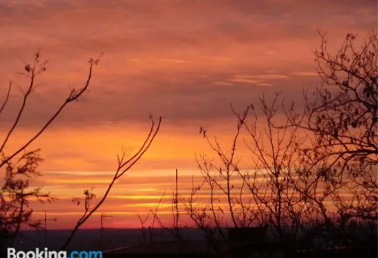 阿里薩花園公寓