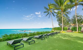The Lamai Samui