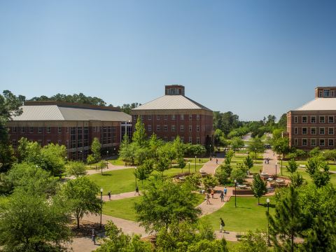 Holiday Inn Statesboro-University Area