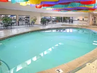 Best Western Vista Inn at the Airport - piscine