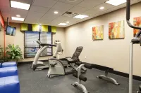 智選假日套房酒店厄爾尼諾里諾 - 健身室/gym room