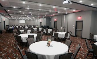 Holiday Inn & Suites Sioux Falls - Airport