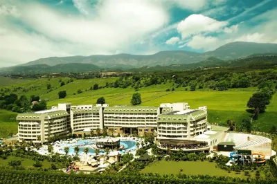 Amelia Beach Resort Hotel & Spa