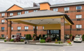 Comfort Inn