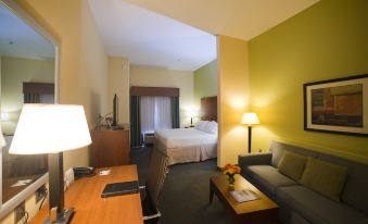 Holiday Inn Express & Suites Atlanta East - Lithonia