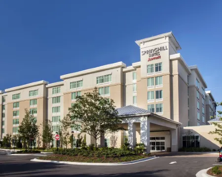 SpringHill Suites Orlando at Flamingo Crossings® Town Center/Western Entrance Hotels in Bay Lake