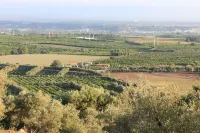 Agriturismo Le terre di zoe' Hotel in zona Euromarket 3g Dei F.Lli Gallizzi Sas Di Gallizzi Pantaleone & C.