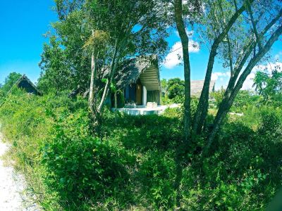 Garden Kae Funk Sunset Bungalows Photo