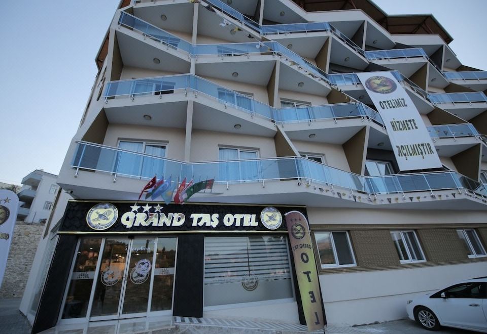 sevimli kedi videoları