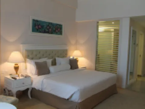 白沙羅皇家朱蘭酒店 八打靈再也酒店