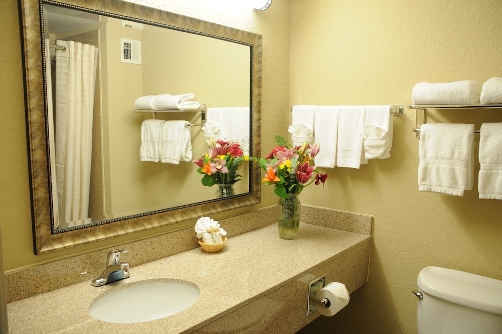 Holiday Inn Express Peachtree Corners-Norcross, an Ihg Hotel