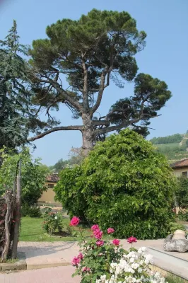 Tenuta Fagnanetto Các khách sạn ở Santo Stefano Belbo