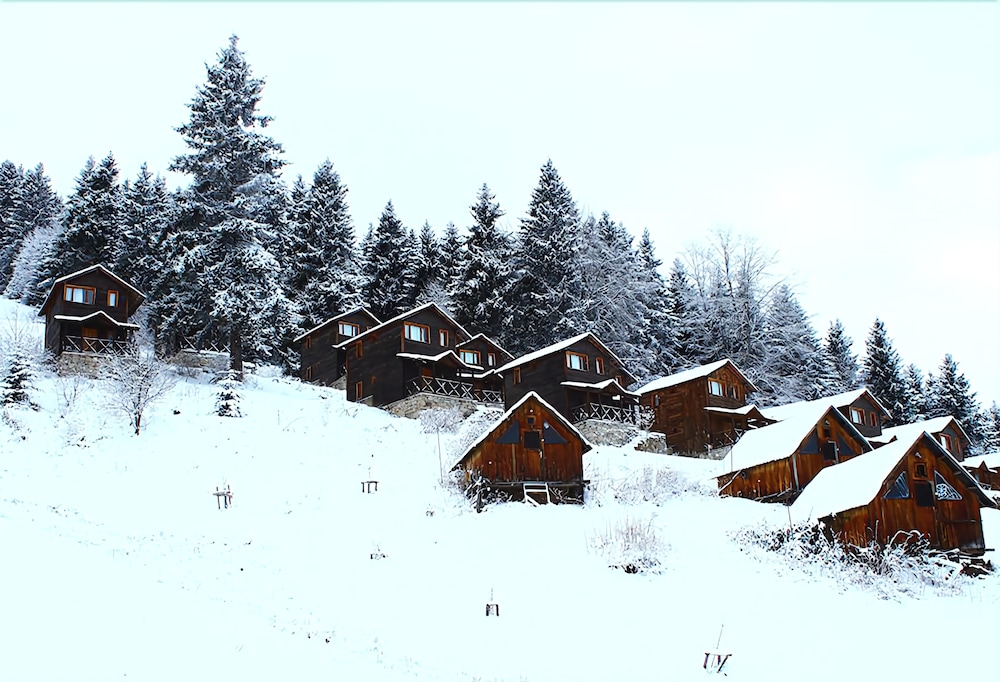 Zitas Otel Zigana Yayla Tatil Koyu