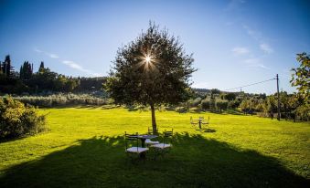 a large tree with a lone person standing on it , and a green field with tables and chairs at Villa Campestri Olive Oil Resort