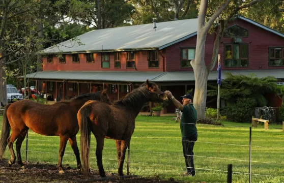 碧爾平鄉村旅館