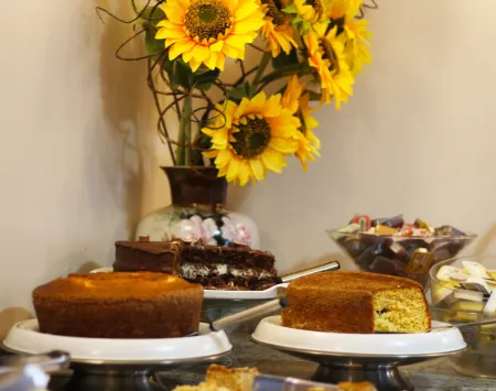 Hotel Urupes Отели в г. Сан-Бенту-ду-Сул