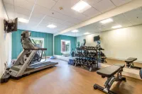 Holiday Inn Express & Suites Hearne Hotels in Franklin