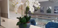 The Grand Motel - Boutique