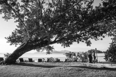 ホテル周辺 ザ･ダタイ ランカウイの写真