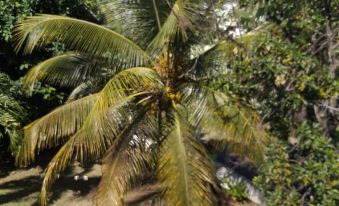 House with 2 Bedrooms in Le Gosier, with Enclosed Garden and Wifi Near the Beach