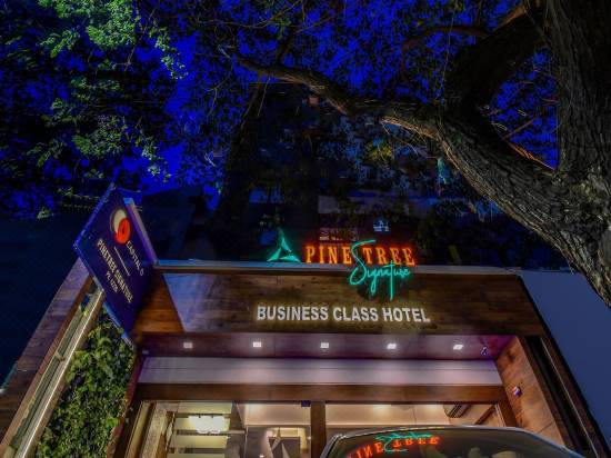 Capital O 42226 Pine Tree Signature Chennai Updated 2021 Price Reviews Trip Com