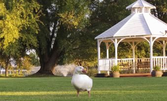 Parklands Resort Mudgee