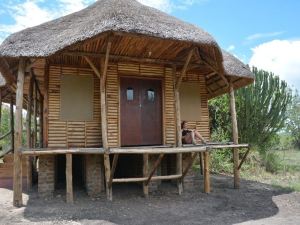 Forest Hog Safari Lodge