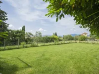 Il Colombaino