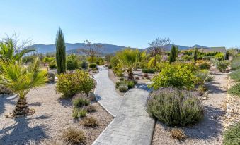 a beautiful garden with various plants and trees , including cacti , in front of a mountainous backdrop at Vista del Valle