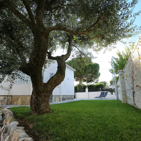 Gunella