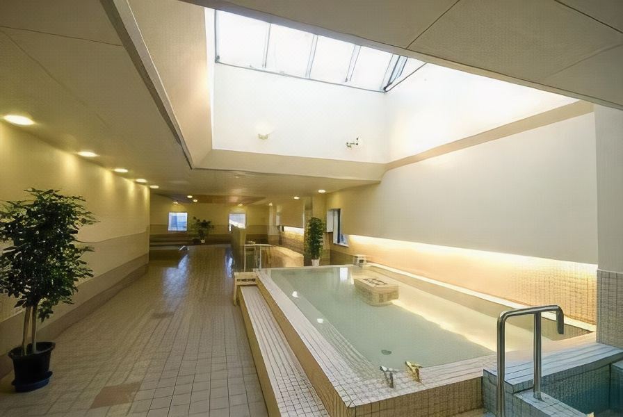 an indoor swimming pool with a spa tub , surrounded by white walls and a skylight at Washington