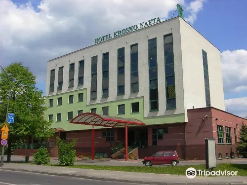 Hotel Nafta Krosno - Pet friendly