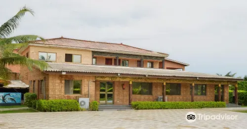 Hotel Novela Star Hotels in Golfe
