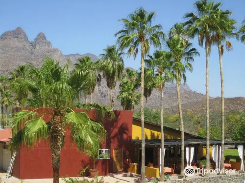 ホテル トリピィ