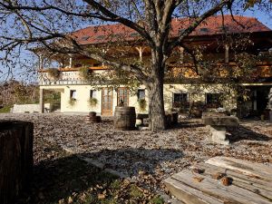 Vineyard Cottage Majzelj