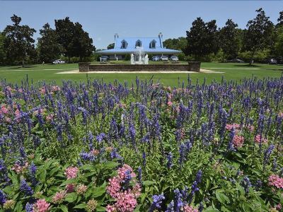 Surroundings #64C True Blue - 3 Br Home by RedAwning Photo