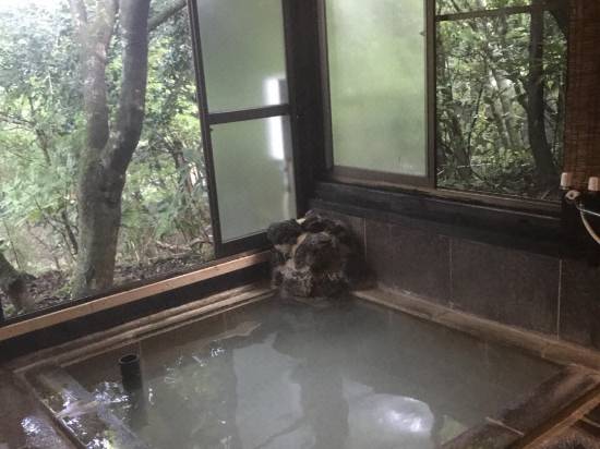 箱根 Oyo 旅館 長寿湯 箱根仙石原の口コミ 宿泊予約 Trip Com 箱根 Oyo 旅館 長寿湯 箱根仙石原の口コミ 宿泊予約 Trip Com