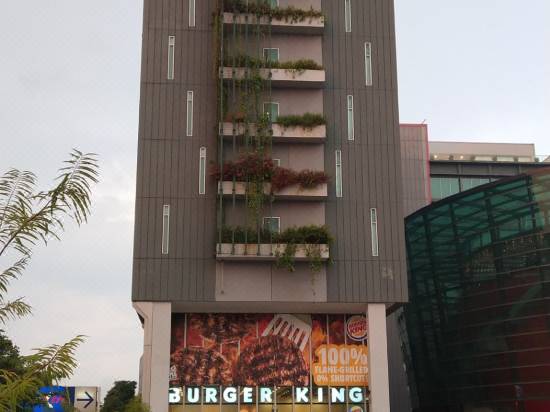 Park Avenue Changi Room Reviews Photos Singapore 21 Deals Price Trip Com Park Avenue Changi Room Reviews Photos Singapore 21 Deals Price Trip Com