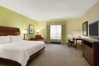 Hilton Garden Inn Houston/Clear Lake NASA Hotel a Webster