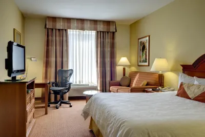 Hilton Garden Inn McAllen Airport