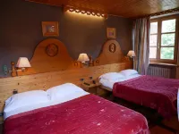 Hotel du Parc - Manoir du Baron Blanc Hotels in Faverges-Seythenex