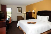 Hampton Inn St. Augustine-I-95 Hotels in Sankt Johns County