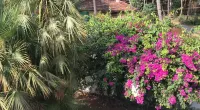 One BHK Luxury Homestay in South Goa. Beach 1 Km