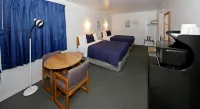 Aurora Borealis - Pet friendly