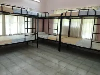 Gibbon Backpackers Hostel - Hostels