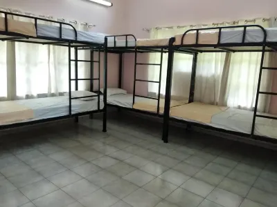 Gibbon Backpackers Hostel Hôtels à : 