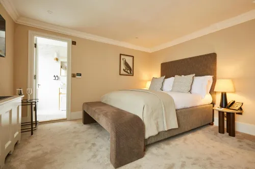 The Feathers Hotel